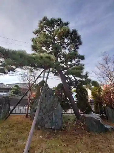 根岸弁財天(神奈川県)