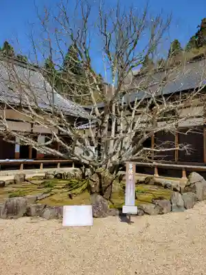 百済寺(滋賀県)