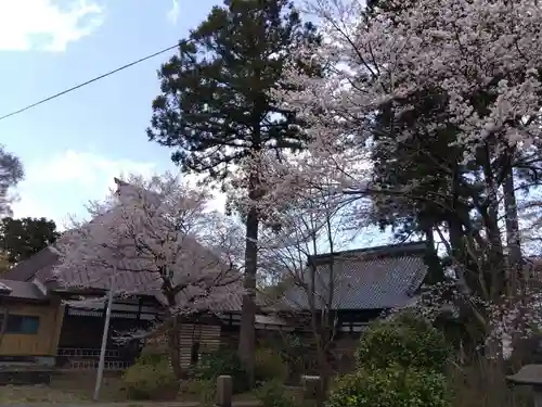 日朝寺(新潟県)