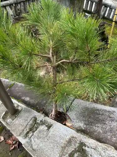 湯前神社(静岡県)