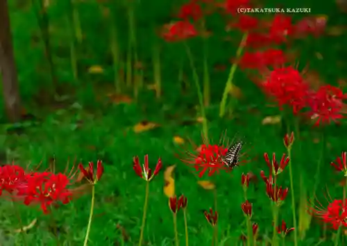 横浜　西方寺(神奈川県)