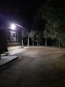 伏木香取神社(茨城県)(2023年12月31日(日) 21時27分19秒投稿)