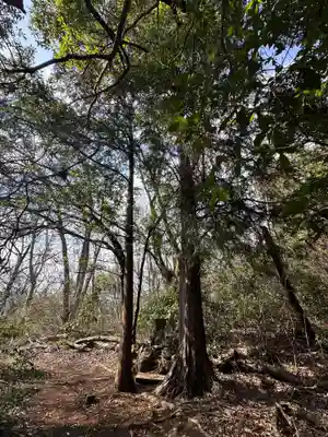 金比羅宮(神奈川県)