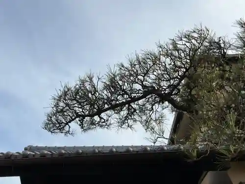 西方山極楽寺(岐阜県)