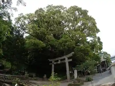 立磐神社のその他建物