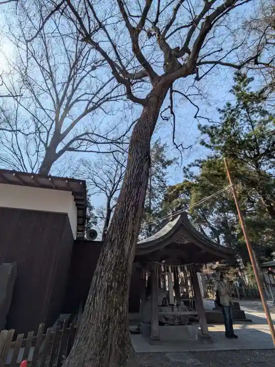 調神社(埼玉県)