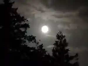 伏木香取神社の自然(2019年08月16日(金) 20時57分25秒投稿)