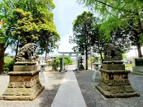 熊野福藏神社の狛犬