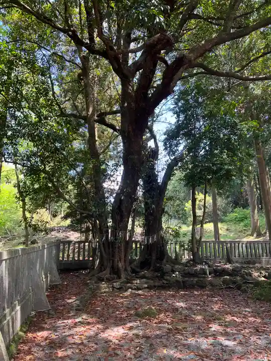 山宮浅間神社の自然