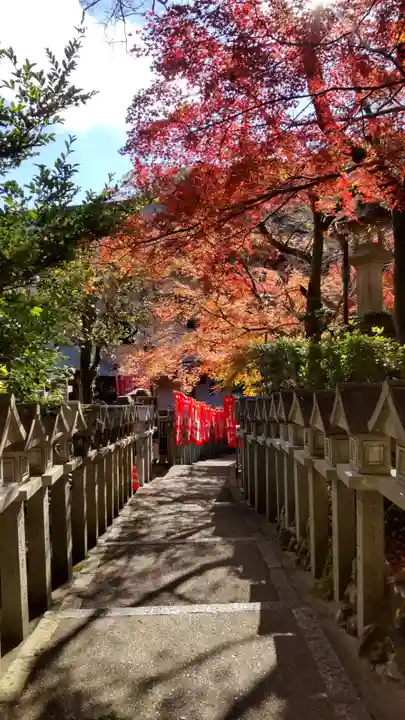 朝護孫子寺(奈良県)