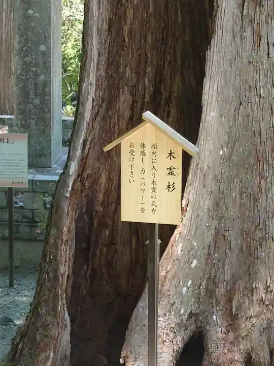 丹生川上神社(中社)(奈良県)