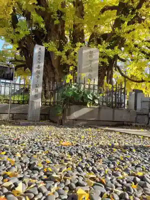 善福寺(東京都)