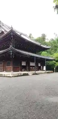 御寺 泉涌寺の本殿・本堂
