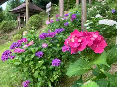 長谷寺(長野県)