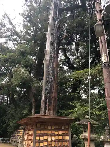 往馬坐伊古麻都比古神社の絵馬