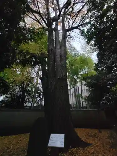 三囲神社の自然