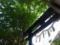 菊名神社の鳥居