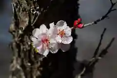 壽命院 永徳寺の自然