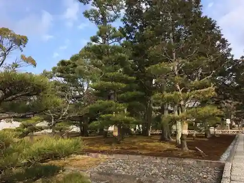 根来寺 智積院の庭園