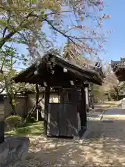 宝蔵寺の手水