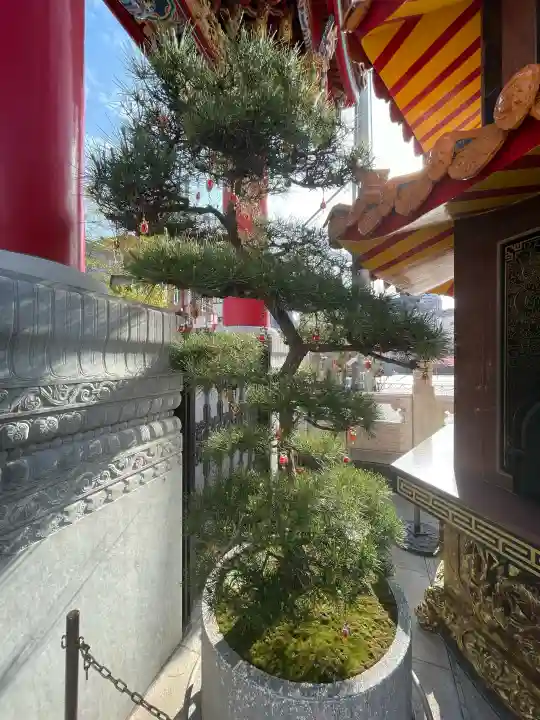 横濱関帝廟の{uncategorized: "未分類", other: "その他", undefined: "問題あり", building: "その他建物", grave: "お墓", sacred_gate: "鳥居", guardian: "狛犬", statue: "像", buddha: "仏像", history: "歴史", nature: "自然", garden: "庭園", animal: "動物", pagoda: "塔", temizu: "手水舎", mountain_gate: "山門・神門", sanctuary: "本殿・本堂", subordinate: "末社・摂社", art: "芸術", scenery: "景色", jizo: "地蔵", ema: "絵馬", goshuin: "御朱印", omikuji: "おみくじ", items: "授与品その他", amulet: "お守り", goshuincho: "御朱印帳", eats: "食事", festival: "お祭り", votive_dance: "神楽", shichigosan: "七五三参", wedding: "結婚式", experience: "体験その他", initially: "初詣", around: "周辺", anti_infection: "感染症対策"}