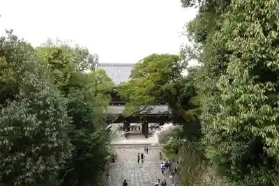 知恩院(京都府)