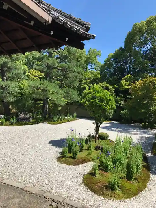廬山寺(廬山天台講寺)の庭園