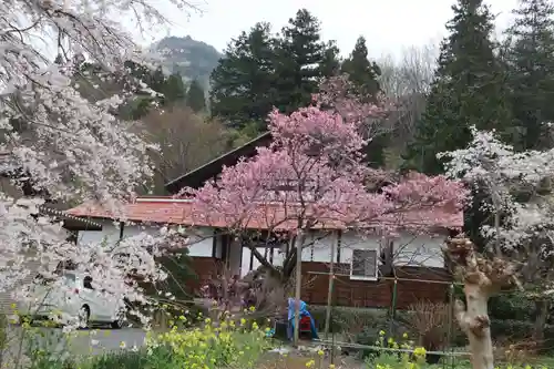 法善寺の本殿