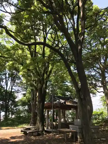 天疫神社(福岡県)