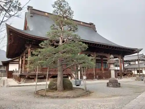 本光寺(岐阜県)