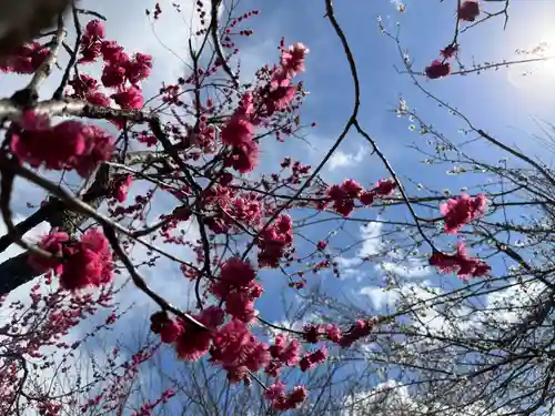 茨城縣護國神社の自然