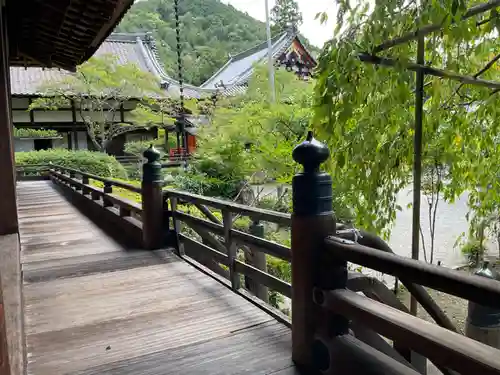 毘沙門堂門跡(京都府)