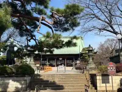 護国寺の{uncategorized: "未分類", other: "その他", undefined: "問題あり", building: "その他建物", grave: "お墓", sacred_gate: "鳥居", guardian: "狛犬", statue: "像", buddha: "仏像", history: "歴史", nature: "自然", garden: "庭園", animal: "動物", pagoda: "塔", temizu: "手水舎", mountain_gate: "山門・神門", sanctuary: "本殿・本堂", subordinate: "末社・摂社", art: "芸術", scenery: "景色", jizo: "地蔵", ema: "絵馬", goshuin: "御朱印", omikuji: "おみくじ", items: "授与品その他", amulet: "お守り", goshuincho: "御朱印帳", eats: "食事", festival: "お祭り", votive_dance: "神楽", shichigosan: "七五三参", wedding: "結婚式", experience: "体験その他", initially: "初詣", around: "周辺", anti_infection: "感染症対策"}