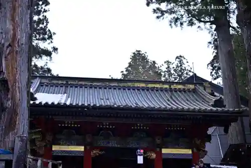 日光東照宮(栃木県)