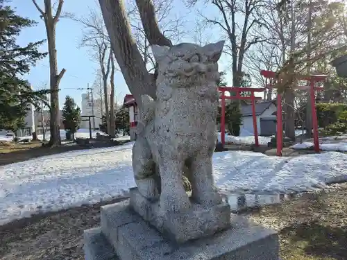 空知神社の狛犬