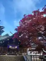 厚別神社(北海道)