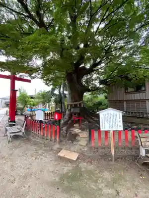 曽根神社(新潟県)