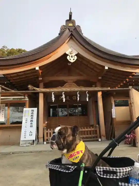 尾張大國霊神社(国府宮)の動物
