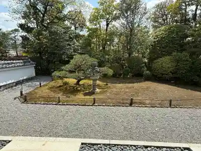 退蔵院(京都府)