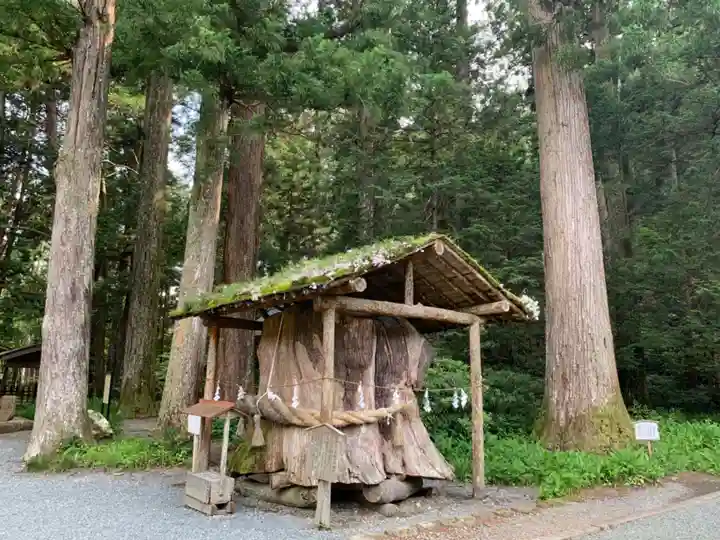 小國神社の自然