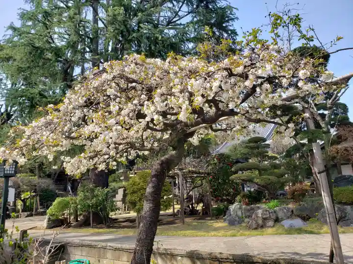 東光寺(東京都)