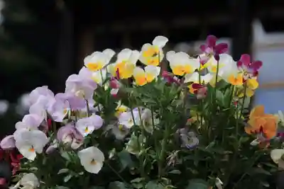 高司神社〜むすびの神の鎮まる社〜の授与品その他