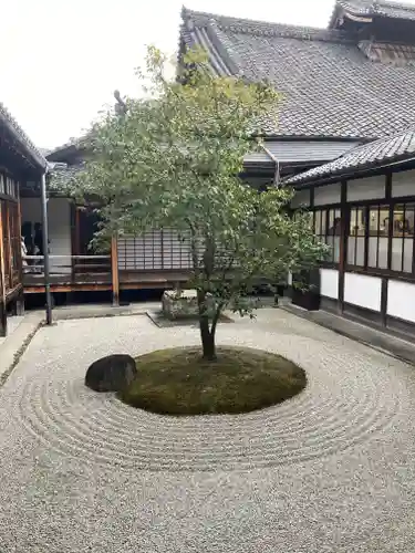 建仁寺（建仁禅寺）(京都府)