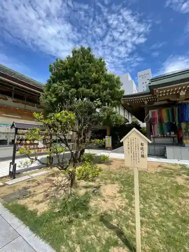 佐佳枝廼社(福井県)