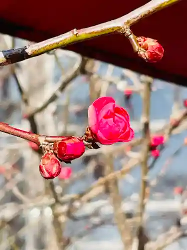 仙台八坂神社(宮城県)