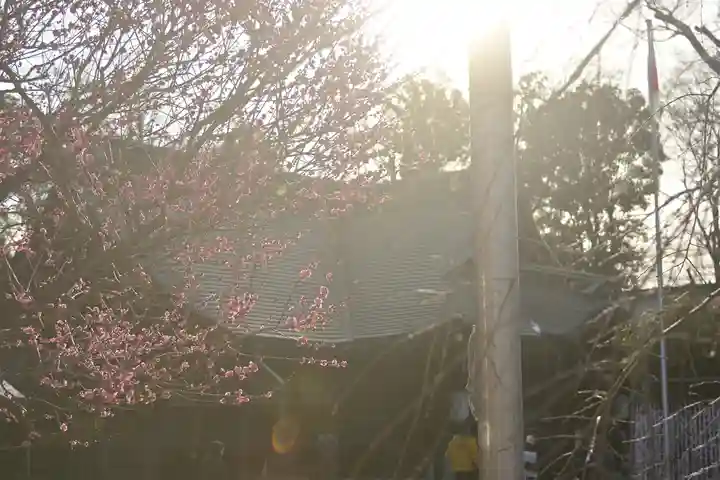 大國魂神社(東京都)