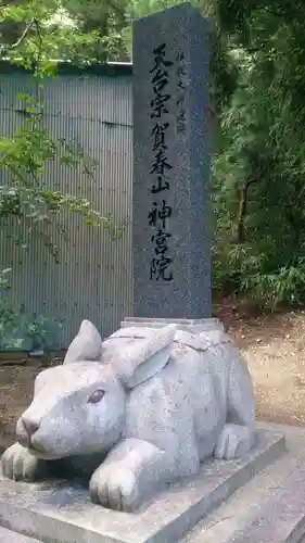 神宮院の狛犬