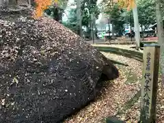 代々木八幡宮の建物その他