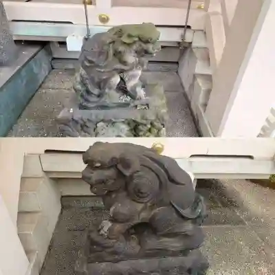 車町稲荷神社の狛犬