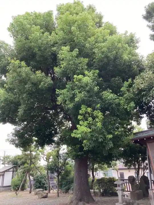 真土神社(神奈川県)